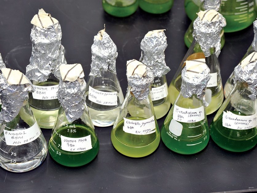 Alternatif Yakıtlar - Biyoyakıtlarda Fiziksel Testler - Y&uuml;zd&uuml;rme, &Ccedil;&ouml;keltme ve Yıkanabilirlik Testi