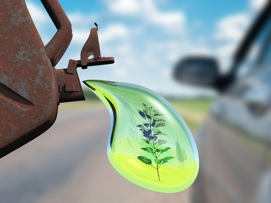 Альтернативные виды топлива - химические испытания в биотопливе - справочные услуги
