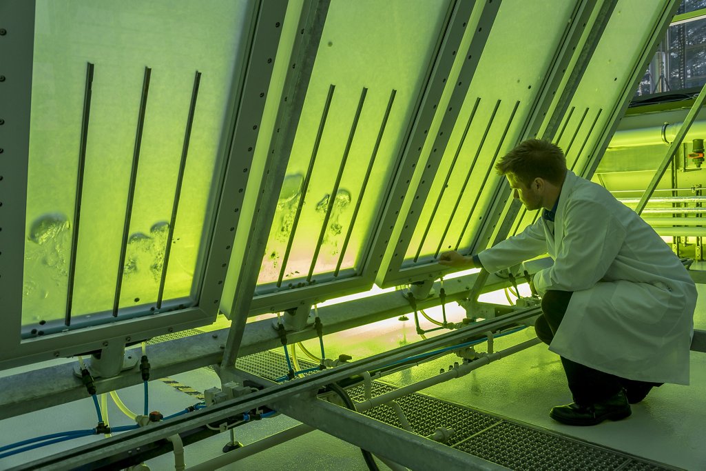 Alternatif Yakıtlar - G&ouml;zetim Hizmetleri - Yakıt G&ouml;zetimi ve Teknik Durum Değerlendirme