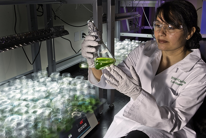 Alternatif Yakıtlar - Tetkikler ve Belgelendirme Hizmetleri - GlobalGAP Belgelendirmesi