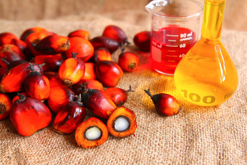 Альтернативные виды топлива - Услуги по расследованию и сертификации - Круглый стол по устойчивому производству пальмового масла (PSCO)