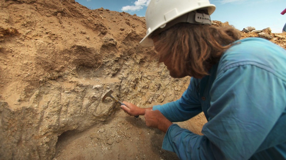 Asidik Kaya&ccedil; Drenajı - Standart Nem H&uuml;cresi Testleri