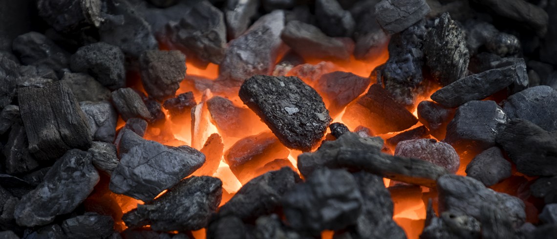 الخام والفحم والوقود البيولوجي والأسمدة - خدمات تحليل الفحم وفحم الكوك والوقود الحيوي - تحليل الرماد