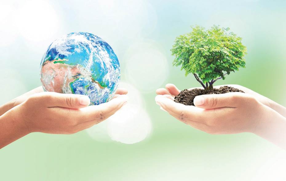 Экологические оценки и управление. Определение экологических и социальных воздействий