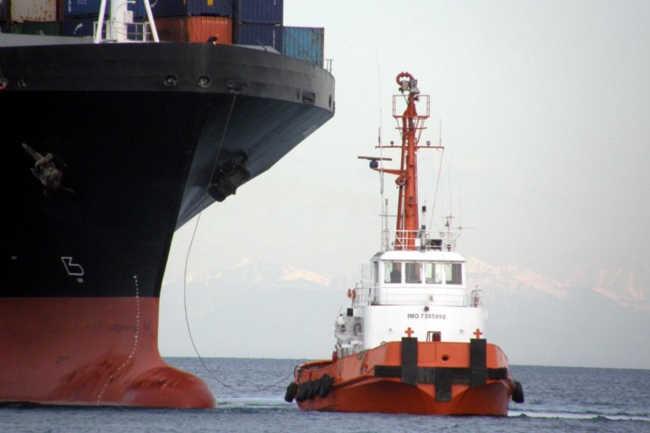 Maritime Services - Услуги по осмотру судов