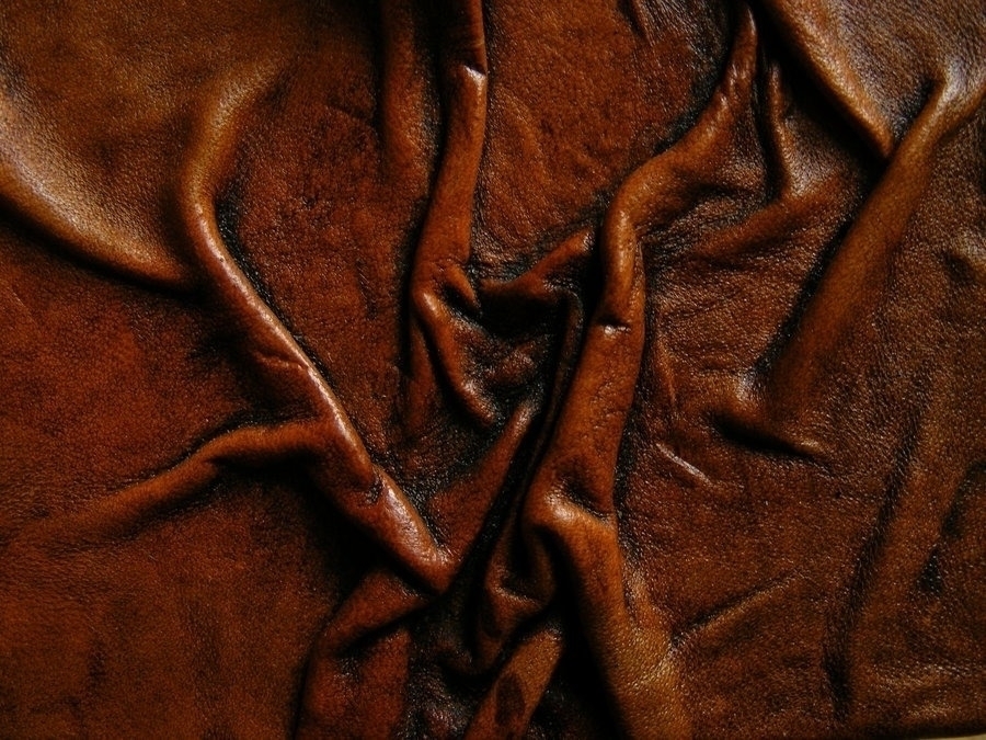 Испытание на устойчивость кожаных изделий (влажный синий) к плесени