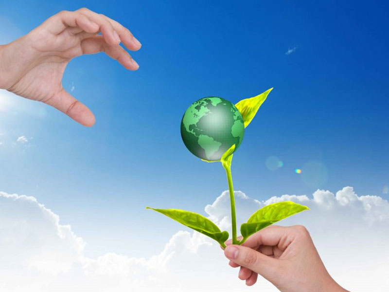 ما هي المبادئ الأساسية لبرنامج شهادة المنتجات البيئية ECOMark®؟