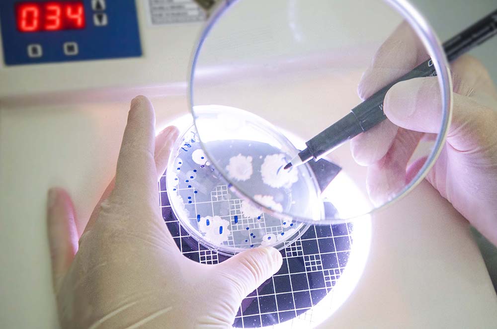 Prodotti farmaceutici - Eccipienti - Test microbiologici per i servizi di scienze della vita