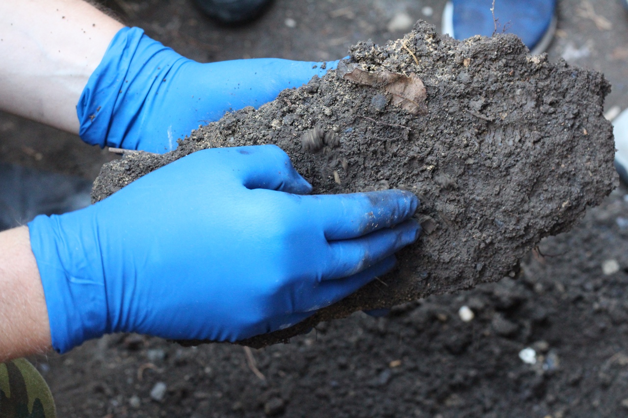 Geleneksel Olmayan Kaynaklar - Katranlı Kum Hizmetleri - &Ccedil;ok Elementli ICP Paketleri