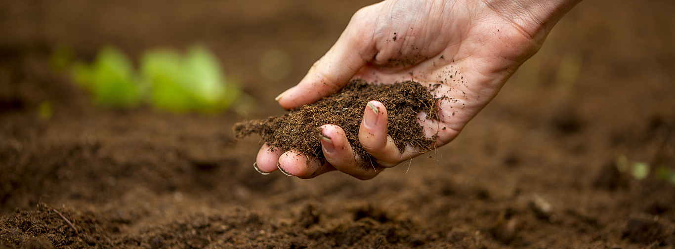Geleneksel Olmayan Kaynaklar - Katranlı Kum Hizmetleri - Su Artırma Hizmetleri