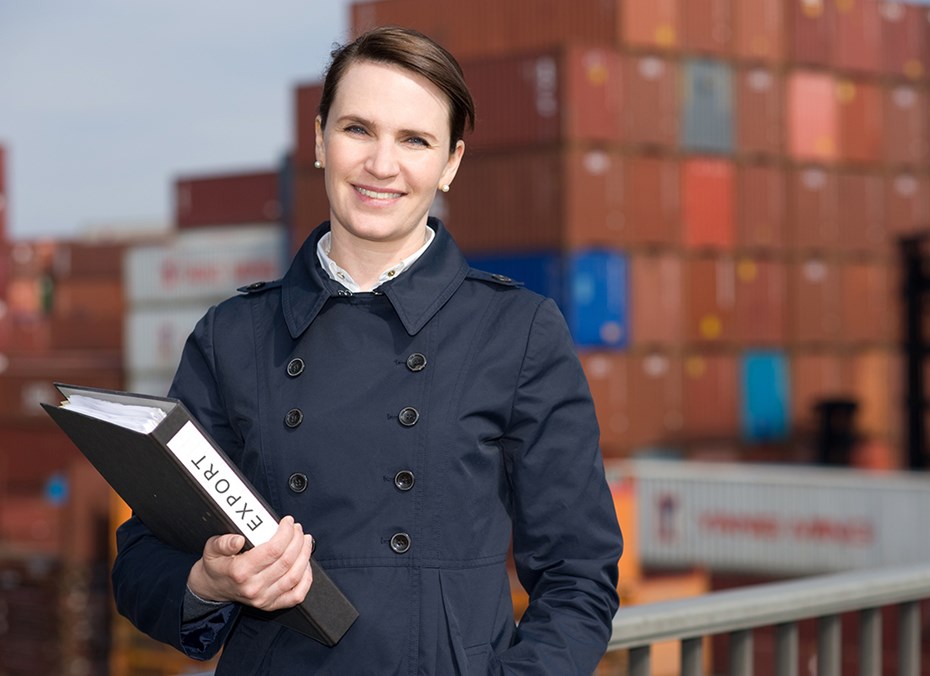 G&uuml;mr&uuml;k Y&ouml;netim Sistemleri