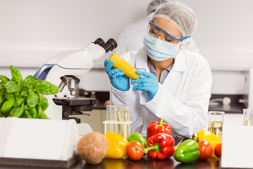 HACCP Tehlike Analizi ve Kritik Kontrol Noktaları Sistemi Belgelendirme S&uuml;reci Nasıldır?