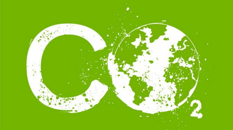 Hava ve Toz Partik&uuml;lleri - Biyojenik Karbondioksit Emisyonları