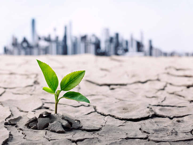 İklim Değişikliği Hizmetleri - İsteğe Bağlı Aktiviteler ve Projeler