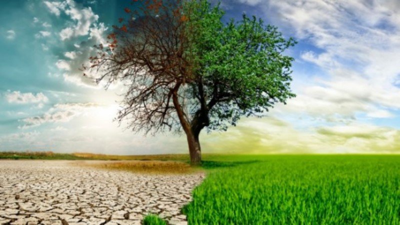 Услуги по изменению климата - дополнительные мероприятия и другие проекты