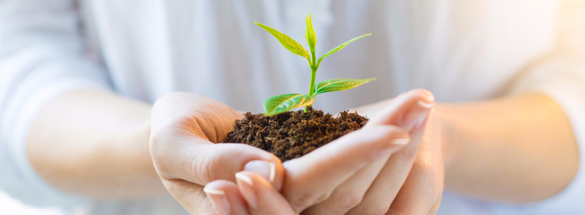 ISO 14001 &Ccedil;evre Y&ouml;netim Sistemi Belgelendirme S&uuml;reci Nasıldır?