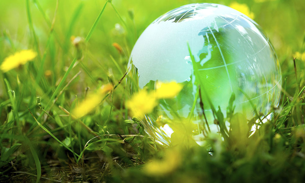 ISO 14001 &Ccedil;evre Y&ouml;netim Sistemi Temel İlkeleri Nelerdir?