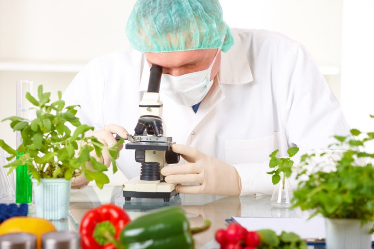 Что такое процесс сертификации системы менеджмента безопасности пищевых продуктов ISO 22000?