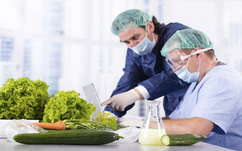 ISO 22000 Gıda Güvenliği Yönetim Sistemi Belgesi Nedir?