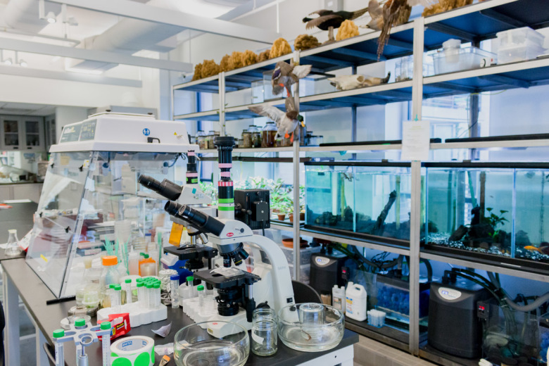 Jeokimya Hizmetleri - &Ccedil;&uuml;r&uuml;tme ve Kaynaştırma Hizmetleri - &Ccedil;ok Asitli Par&ccedil;alanmalar