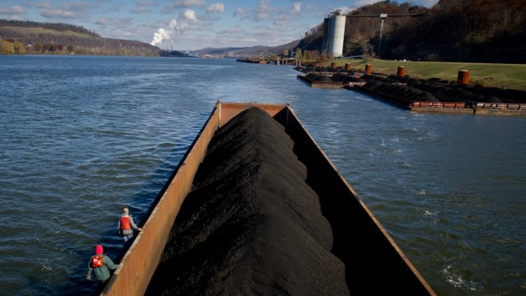 Уголь - Грузовые и судовые услуги - Переупаковка опасных отходов