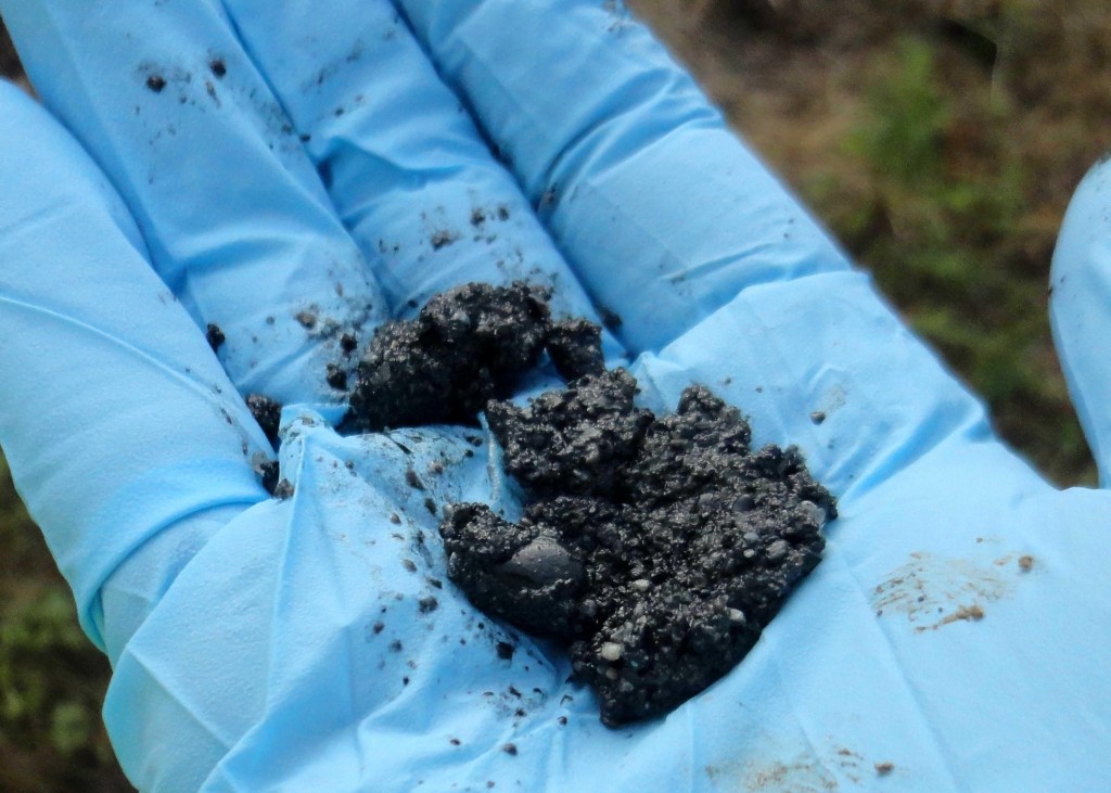 K&ouml;m&uuml;r Analizleri - Karbon Analizi