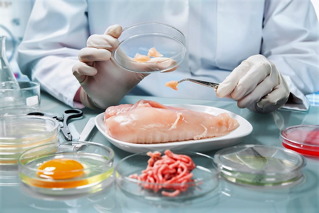 Konaklama Hizmetleri - Gıda Hijyeni