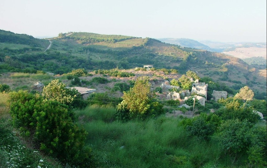 Kontamine Arazi Araştırmaları - Terkedilmiş Arazi