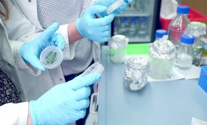 Organik Madde Tayini