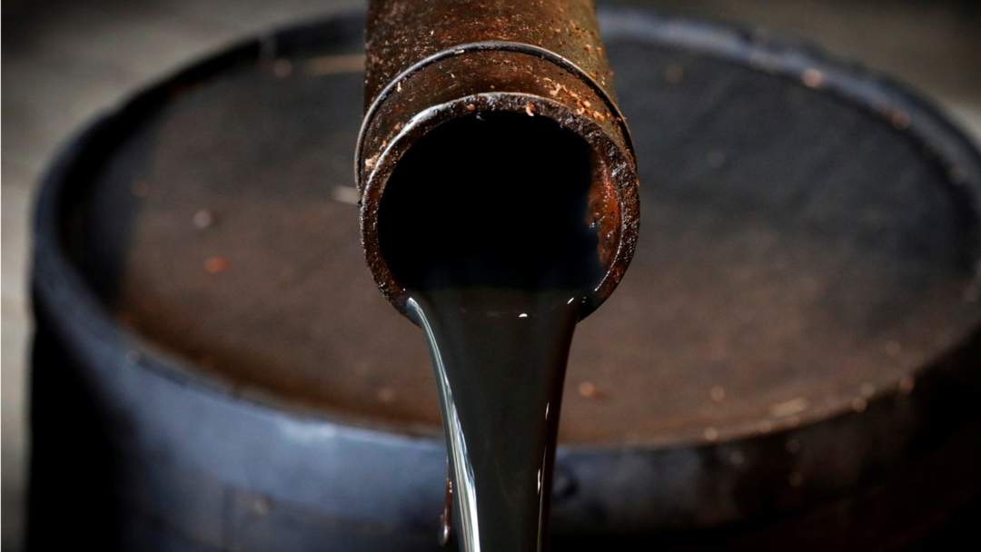 Petrokimyasallar, Bitkisel ve Hayvansal Yağlarda G&ouml;zetimler