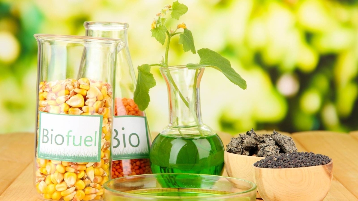 Нефть, газ и химикаты - Лабораторные услуги - Тесты на биотопливо