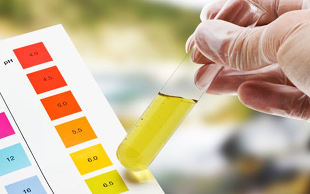 Pigmentler ve Dolgu Madeleri İçin Sulu Bir Süspansiyonun pH Değerinin Tayini