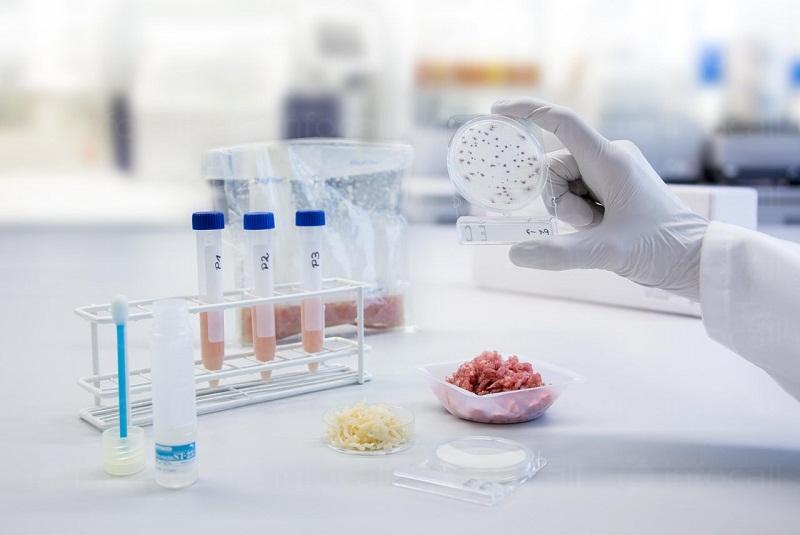 Fibre plastiche e sintetiche - Test - Test microbiologici