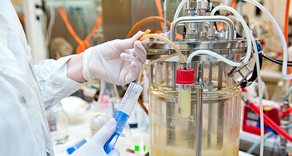 Услуги по переработке, переработке и заготовке - Лабораторные услуги - Тестирование биотоплива