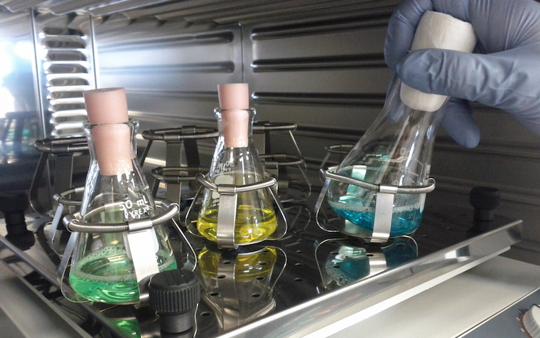 REACH Kimyasalların Tescili, Değerlendirilmesi ve Yetkilendirilmesi - SVHC Y&ouml;netimi