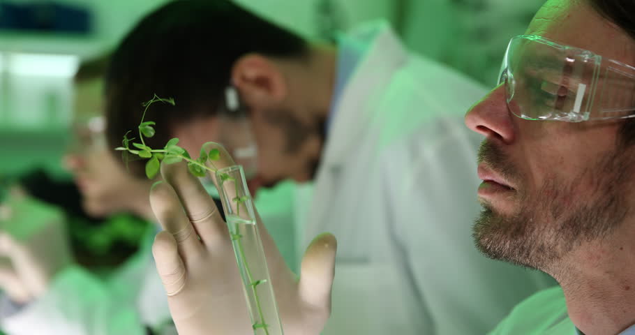 Rezerv Değerlendirmesi - Orman Bitki İncelemesi