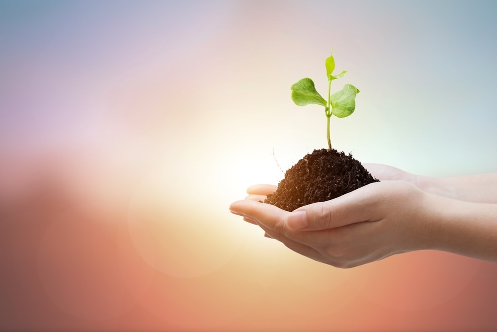 Sosyal S&uuml;rd&uuml;r&uuml;lebilirlik Hizmetleri - SA 8000 Sosyal Sorumluluk Belgelendirmesi