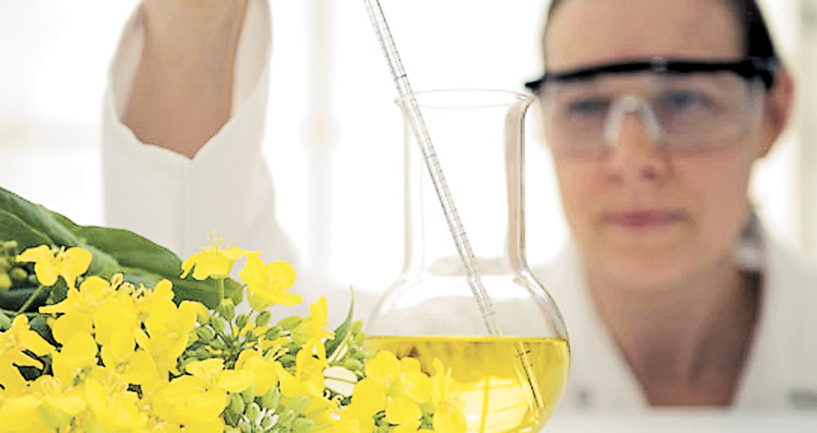 S&uuml;rd&uuml;r&uuml;lebilir Proses Tasarımı Hizmetleri - Biyoyakıt Hizmetleri