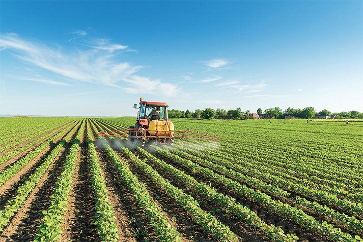 Tarımsal &Uuml;r&uuml;nler - G&ouml;zetim Hizmetleri - Sınıflandırma