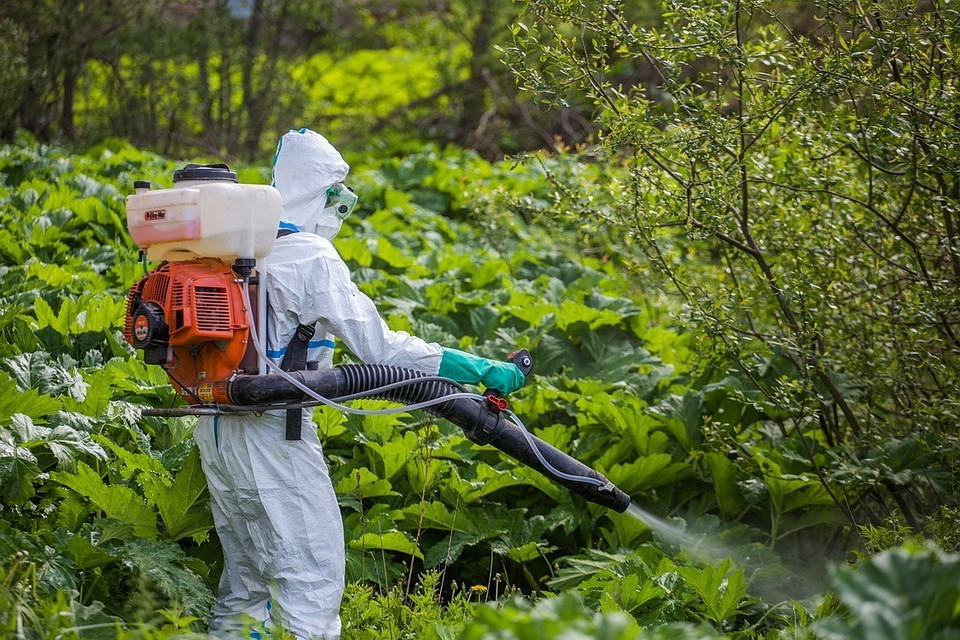 Tarımsal &Uuml;r&uuml;nler - G&ouml;zetim Hizmetleri - Temizlik Denetimleri