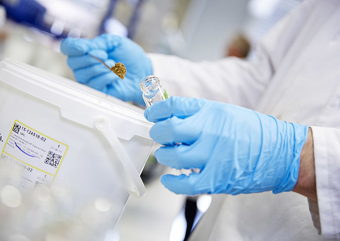 Tarımsal &Uuml;r&uuml;nler - Hassas &Uuml;r&uuml;nler - Kısmi Analiz