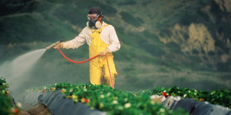 Сельскохозяйственные продукты - Чувствительные продукты - Остатки пестицидов