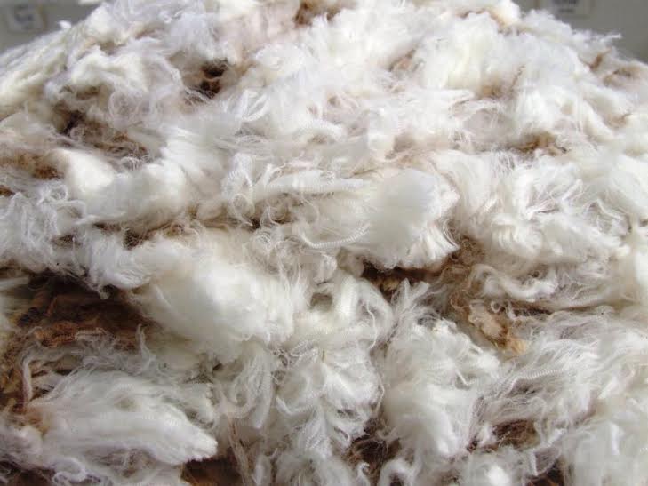Сельскохозяйственные товары - хлопок (волокна) - вымытая шерсть