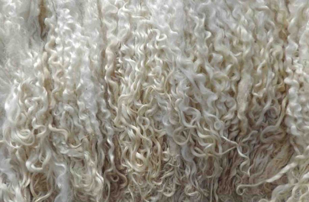 Сельскохозяйственные продукты - Хлопок (волокна) - Определение шерсти и волокна