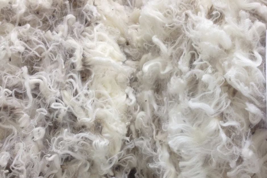 Сельскохозяйственная продукция - хлопок (волокна) - услуги производителей шерсти