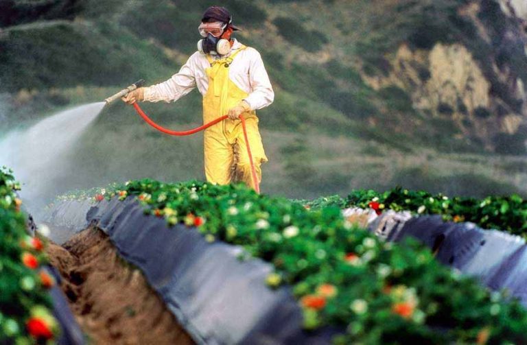المنتجات الزراعية - السوائل - مخلفات المبيدات