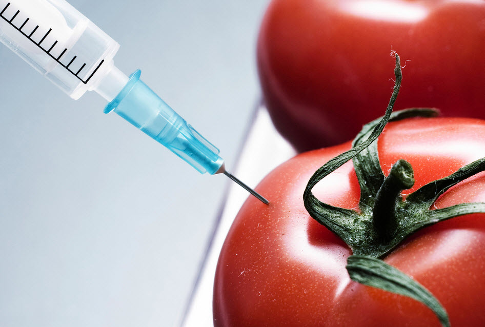 Сельскохозяйственные продукты - свежие продукты - анализ ГМО