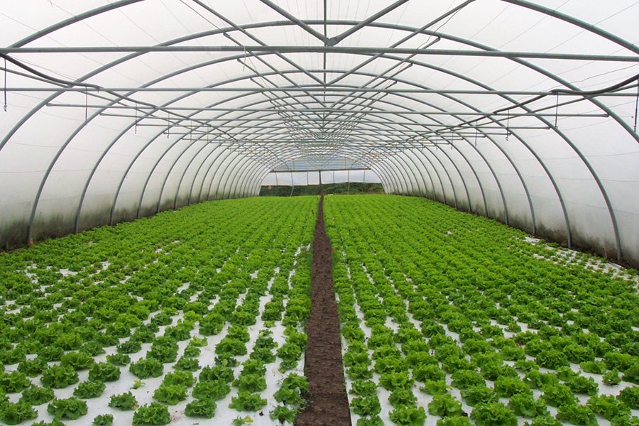 Hydroponics Equipment Supplier Central Coast