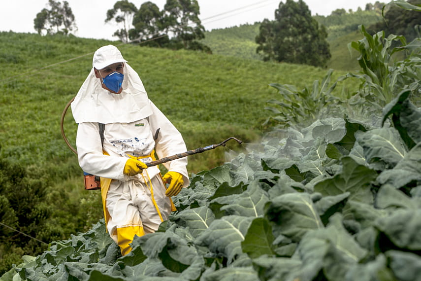 المنتجات الزراعية - المنتجات الطازجة - بقايا المبيدات