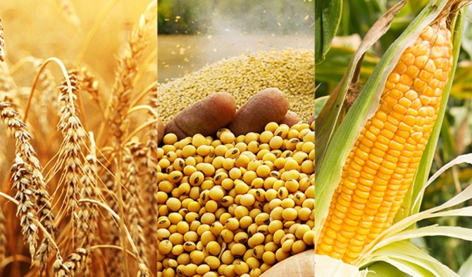 Сельскохозяйственные продукты - корма и добавки - аминокислоты